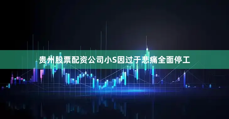 贵州股票配资公司小S因过于悲痛全面停工