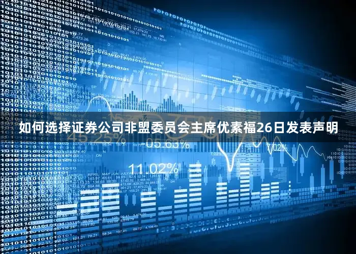 如何选择证券公司非盟委员会主席优素福26日发表声明