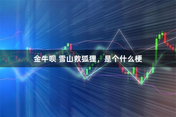 金牛呗 雪山救狐狸，是个什么梗