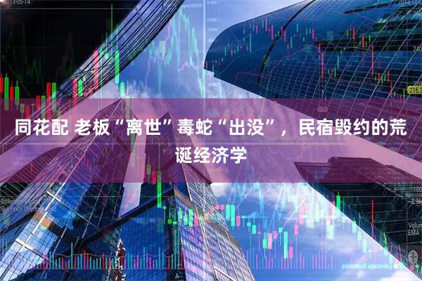 同花配 老板“离世”毒蛇“出没”，民宿毁约的荒诞经济学