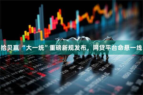 拾贝赢 “大一统”重磅新规发布，网贷平台命悬一线