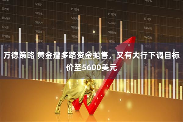 万德策略 黄金遭多路资金抛售，又有大行下调目标价至5600美元