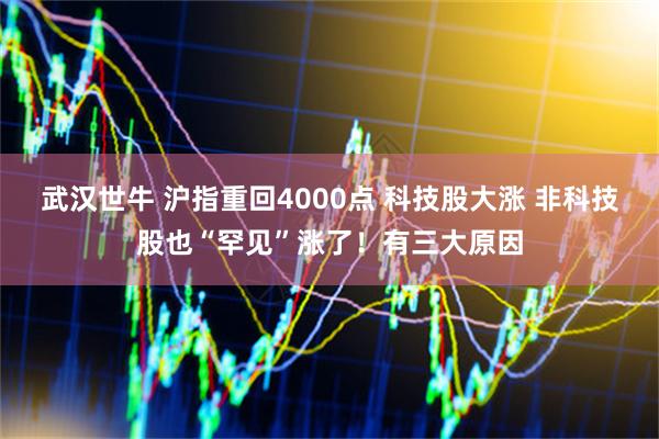 武汉世牛 沪指重回4000点 科技股大涨 非科技股也“罕见”涨了！有三大原因