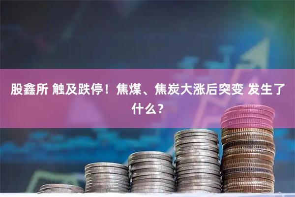 股鑫所 触及跌停！焦煤、焦炭大涨后突变 发生了什么？