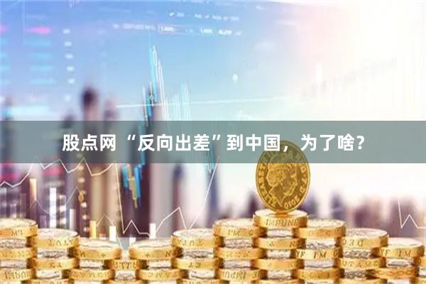 股点网 “反向出差”到中国,为了啥?